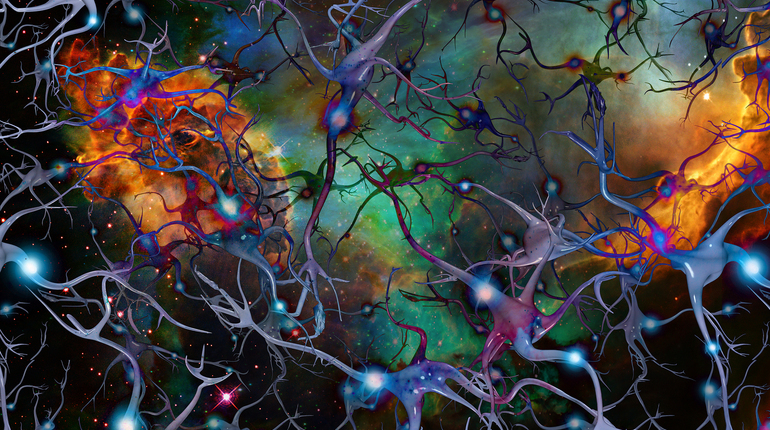 Brain Cells and Deep Space